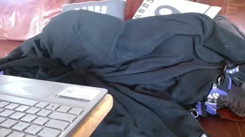 Snapshot of watchedging chatting on 12-01-24, 10:21 Hereforfun online show from 12-01-24, 10:21