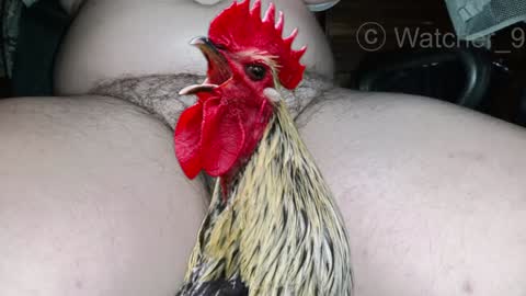 Snapshot of watcher_9 chatting on 12-25-24, 08:50 classified online show from 12-25-24, 08:50