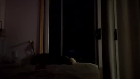 Snapshot of watershed111111 chatting on 01-14-26, 03:56 watershed111111 online show from 01-14-26, 03:56