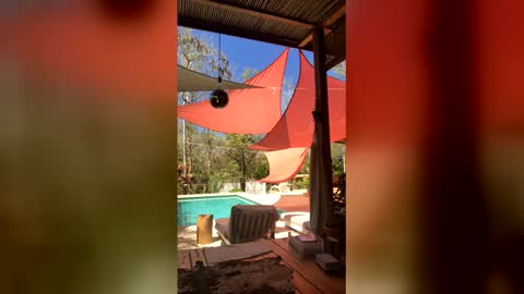 watershed111111 online show from 03-23-26, 03:49