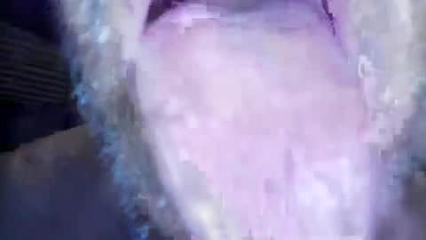 wayne1311 online show from 03-01-26, 07:21