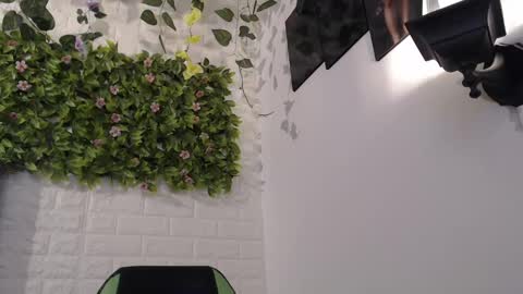 Trixie 3 online show from 02-17-25, 07:42