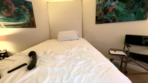 Snapshot of webcameraon chatting on 03-07-26, 07:38 Retainer Forever Solo Album online show from 03-07-26, 07:38