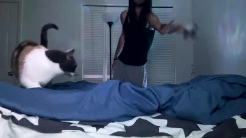 weedwacker43 online show from 12-26-24, 07:03