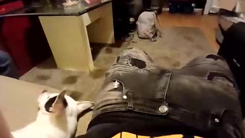 weloveeachothersrizz online show from 12-05-25, 10:02