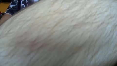 werewolf549 online show from 10-14-25, 07:53