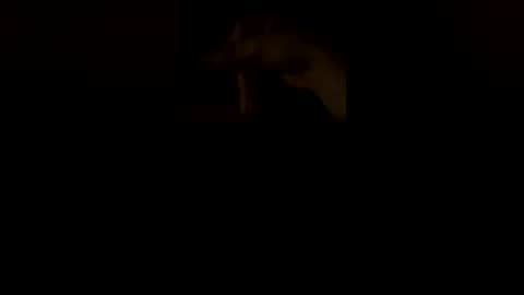Snapshot of wesleyhamner chatting on 08-06-26, 04:47 wesleyhamner online show from 08-06-26, 04:47
