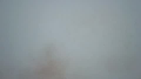 Snapshot of wet_pussieyy chatting on 02-17-26, 09:21 wet_pussieyy online show from 02-17-26, 09:21