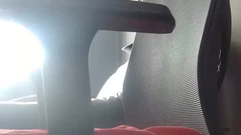 Wetbigdickstream online show from 06-23-26, 11:41