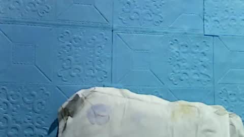 wettyhottie69 online show from 07-01-26, 10:31