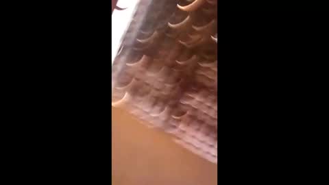 Snapshot of wgebnnrfodwt chatting on 04-03-26, 07:01 wgebnnrfodwt online show from 04-03-26, 07:01