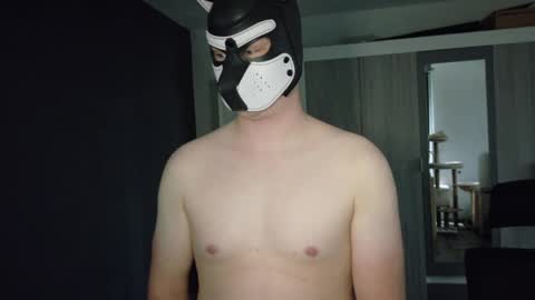 white_pup online show from 05-04-26, 04:58