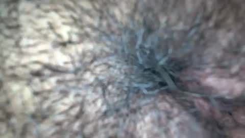 white_sexy_ online show from 09-21-25, 11:34