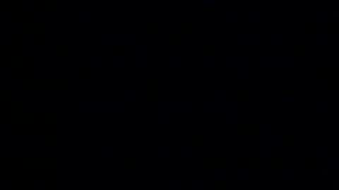 whitehead_lion online show from 01-14-26, 06:13