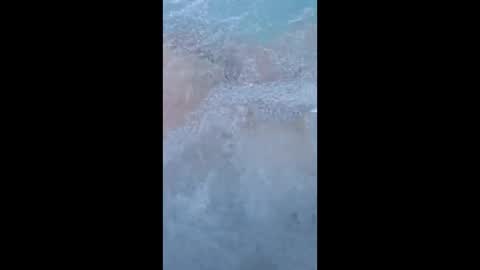 Snapshot of whiteoak19522 chatting on 03-29-26, 11:32 whiteoak19522 online show from 03-29-26, 11:32