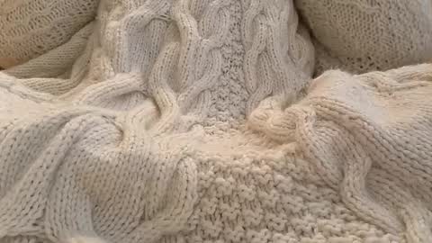 whitesweater online show from 02-09-26, 06:39