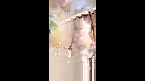 Sexyblackguy online show from 02-04-26, 08:25