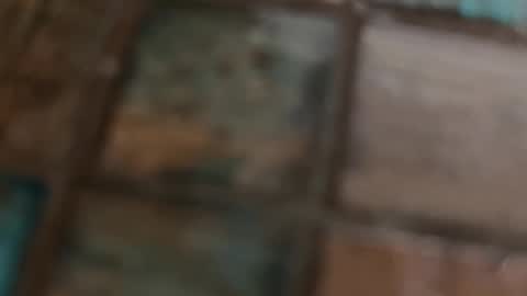 Snapshot of wievin chatting on 02-10-26, 10:19 VI online show from 02-10-26, 10:19