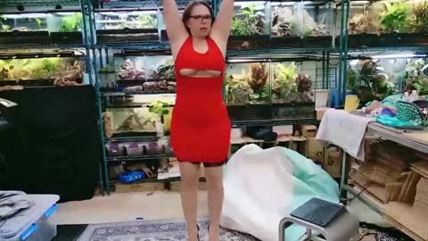 WifeNheels online show from 04-26-26, 10:07