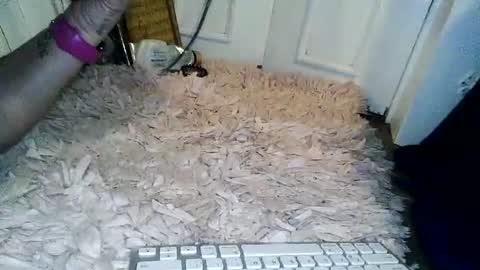Wifeonly online show from 07-11-26, 10:51
