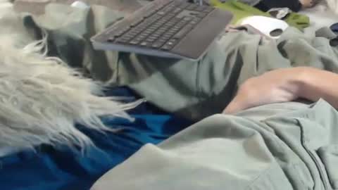 Snapshot of wilbur1440 chatting on 02-03-25, 12:15 my cock is soft share your cam online show from 02-03-25, 12:15