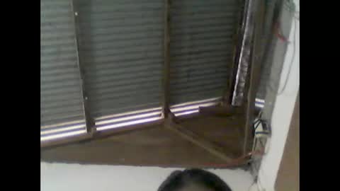 wild984501 online show from 01-11-25, 03:55