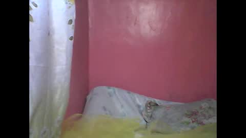 wild_sunflower11 online show from 12-25-24, 03:40