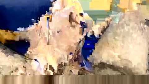 Wildhon online show from 03-08-25, 06:16
