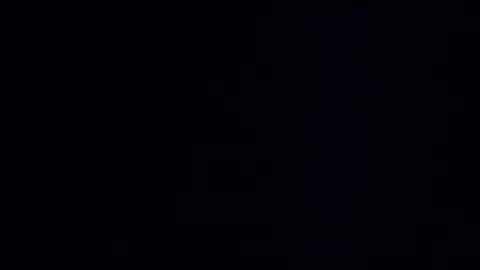 wildman3845 online show from 12-08-24, 11:24