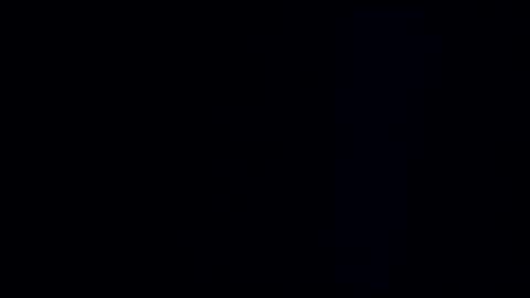 wildman3845 online show from 12-15-24, 11:23