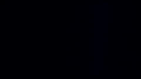 wildman3845 online show from 12-29-24, 01:17