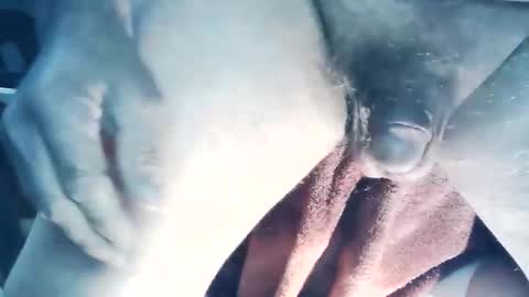 Snapshot of wildman6 chatting on 03-22-26, 06:55 wildman6 online show from 03-22-26, 06:55