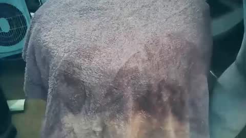 Snapshot of wildman6 chatting on 03-26-26, 07:19 wildman6 online show from 03-26-26, 07:19