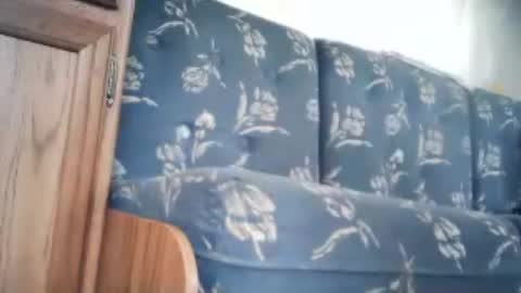 wildman6 online show from 06-20-26, 12:41