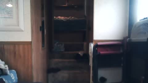 wildman6 online show from 07-19-26, 12:42