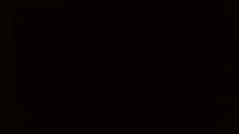 wildwills online show from 04-14-26, 06:14