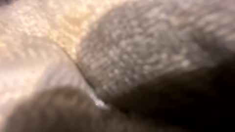 wiley0520 online show from 10-27-25, 11:36