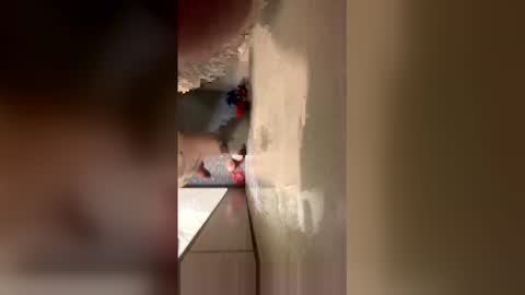 Snapshot of williamcody653 chatting on 02-15-26, 06:21 williamcody653 online show from 02-15-26, 06:21