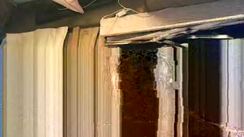 willielowrider online show from 03-29-26, 01:44