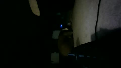 Willhedoher online show from 10-15-25, 12:27