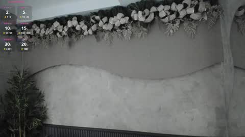 Ms Willow online show from 12-29-24, 12:01