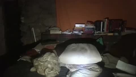 willy2969 online show from 01-30-25, 03:11