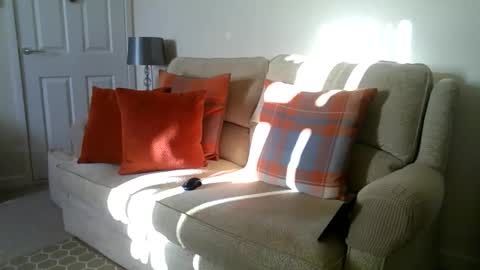 windy19391a online show from 12-02-25, 10:53