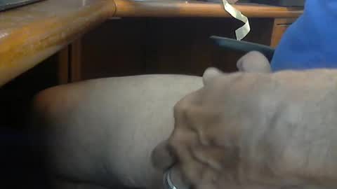 Wineman88886 online show from 03-21-26, 05:05