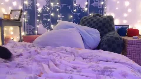 Eevie online show from 12-19-24, 06:23