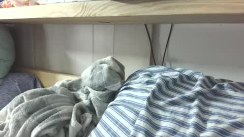 Snapshot of winnielynnxx chatting on 03-07-25, 02:36 Danii online show from 03-07-25, 02:36