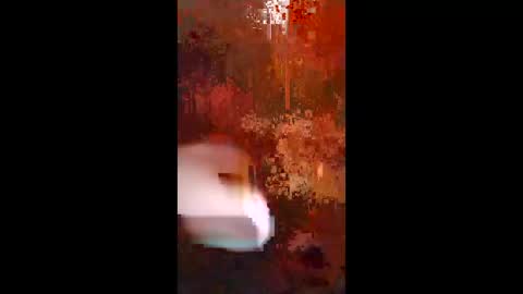 Snapshot of woalse32 chatting on 11-05-25, 06:35 Topic the Rapper online show from 11-05-25, 06:35