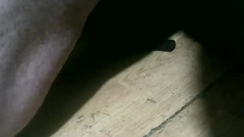 wolfbo6699 online show from 11-22-25, 05:06