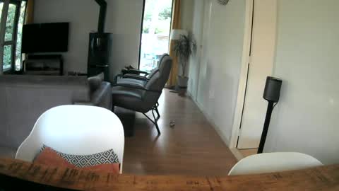 woodwurm and Snoeske online show from 06-25-26, 05:12