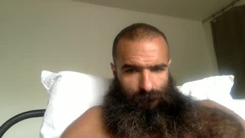 woof_wolf37 online show from 05-08-26, 04:01